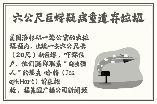 夜里十八款禁用粉色app暮色
